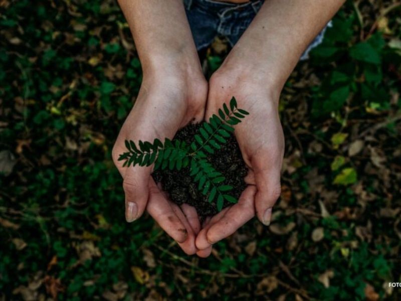 Escolhas que tornam o mundo mais sustentável