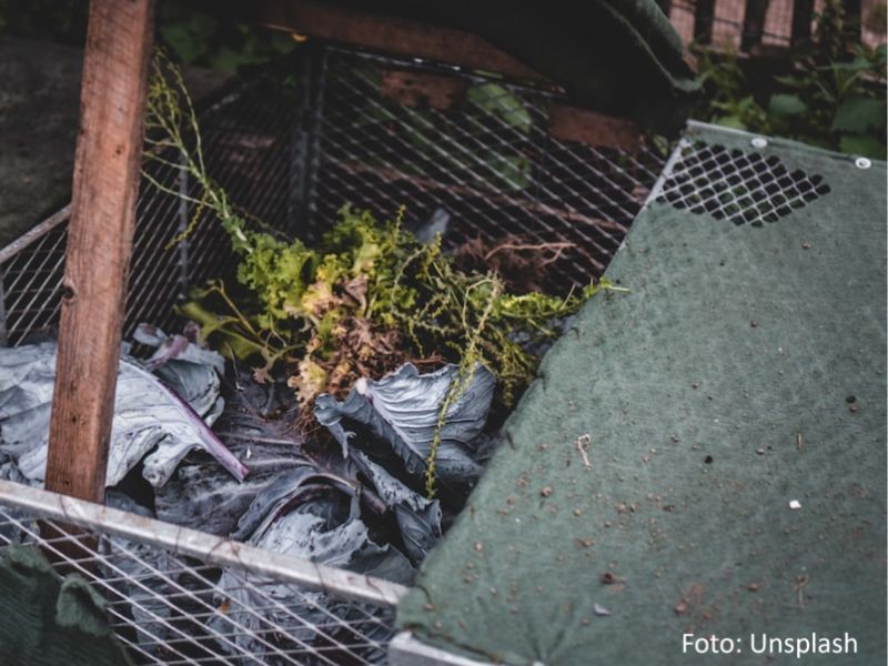 Vantagens da compostagem para o meio ambiente